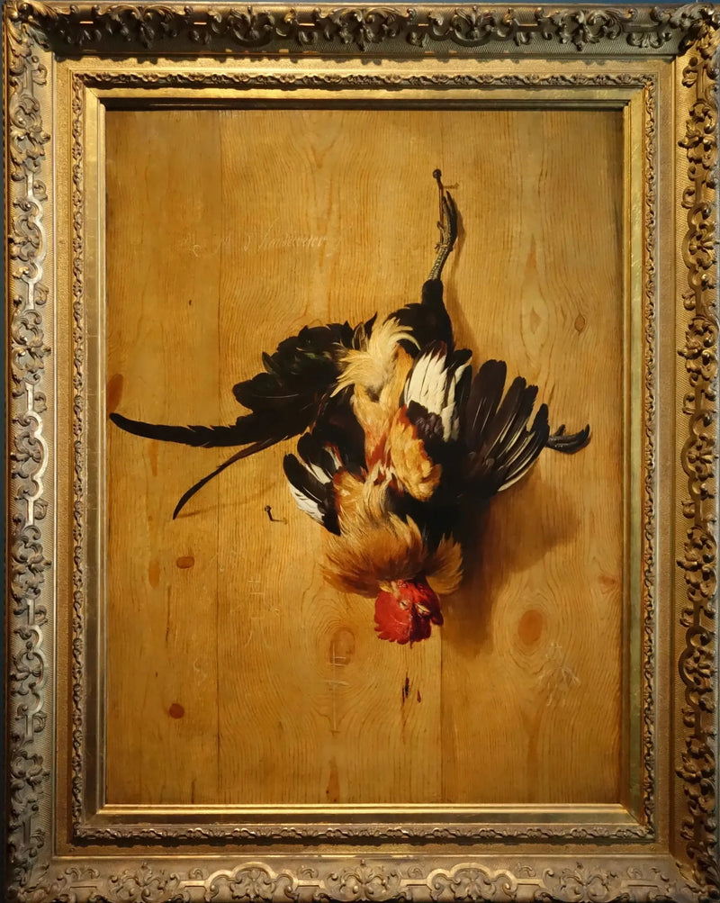 Gallo muerto - Melchior de Hondecoeter