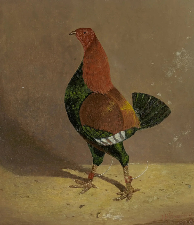 Gallos de combate: un gallo de combate con el pecho oscuro, mirando hacia la izquierda - John Frederick Herring, Sr.