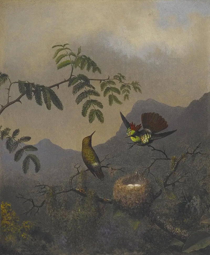 Coqueta con volantes - Martin Johnson Heade