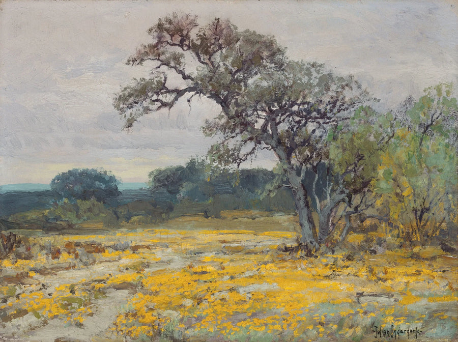 Cor��opsis, cerca de San Antonio, Texas - Julian Onderdonk