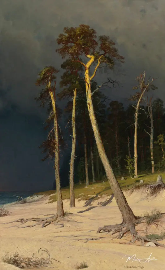 Côte sablonneuse - Ivan Shishkin - Reproductions de tableaux et peintures haut de gamme