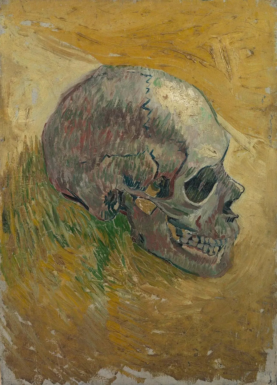 Cráneo de esqueleto - Vincent van Gogh