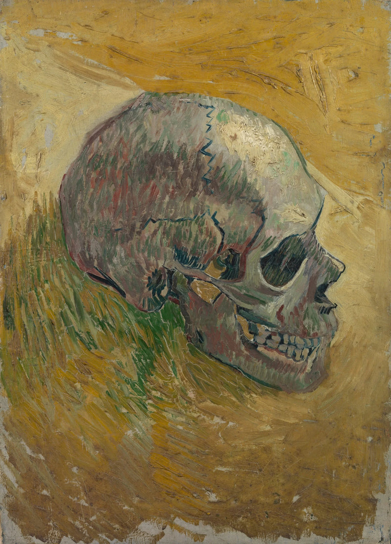Cráneo de esqueleto - Vincent van Gogh