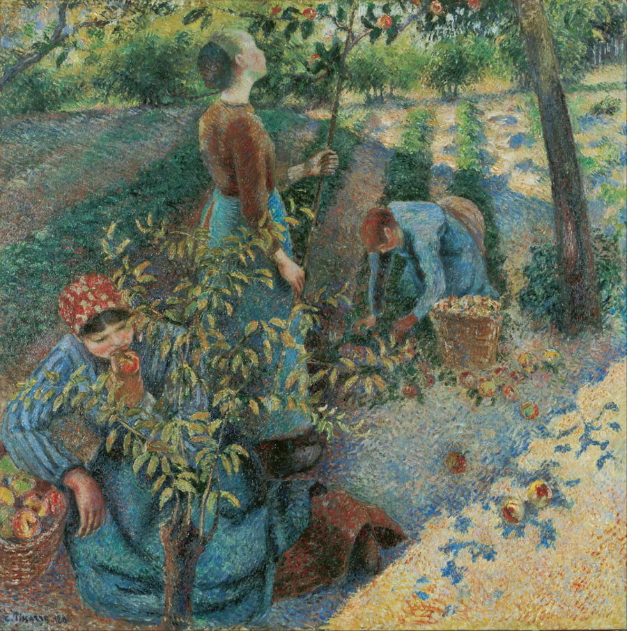 Recolección de manzanas - Camille Pissarro
