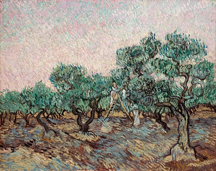 Recolección de aceitunas - Vincent van Gogh