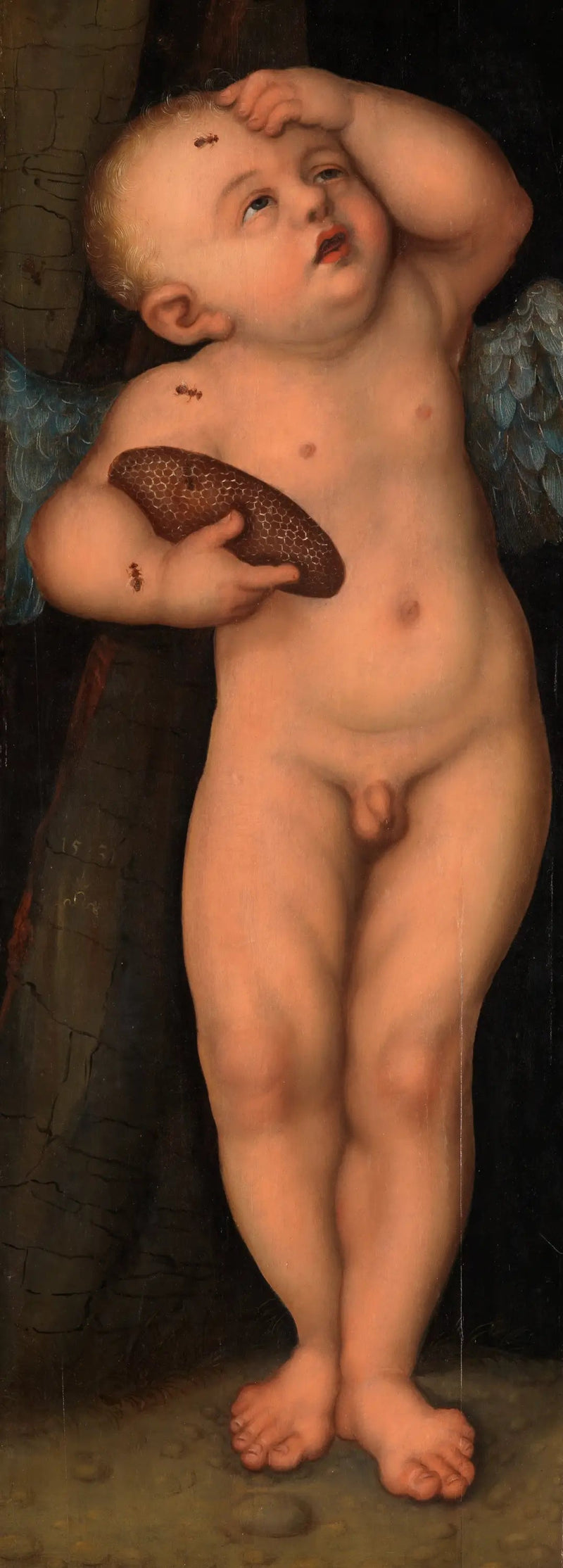 Cupido como ladrón de miel - Lucas Cranach el Viejo