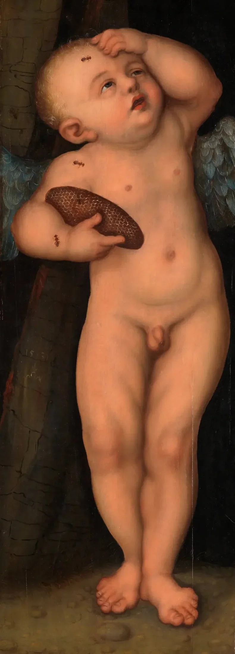 Cupido como ladrón de miel - Lucas Cranach el Viejo