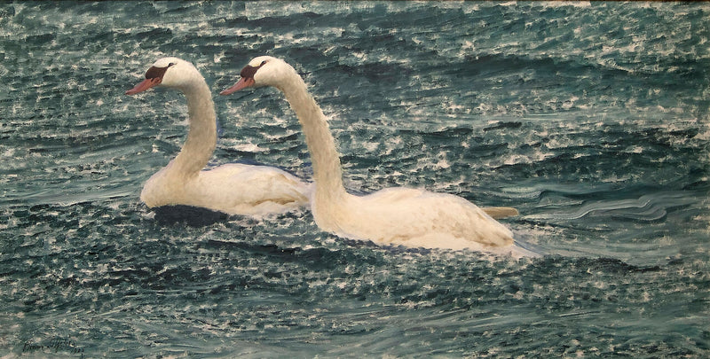 Cisnes - Bruno Liljefors