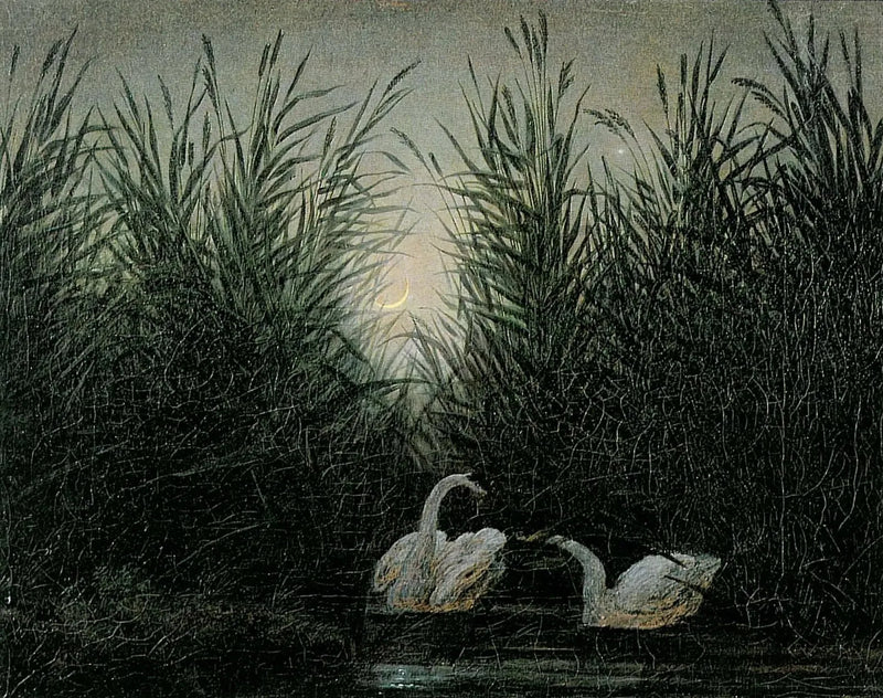 Cisnes en los juncos a las primeras luces del amanecer - Caspar David Friedrich