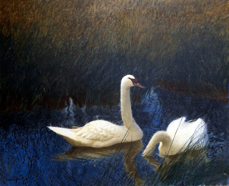 Cisnes en los juncos - Bruno Liljefors