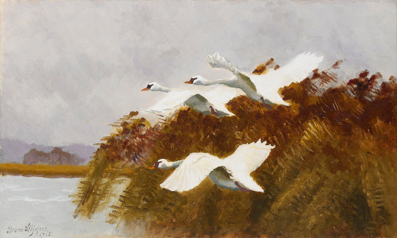 cisnes estirados - Bruno Liljefors
