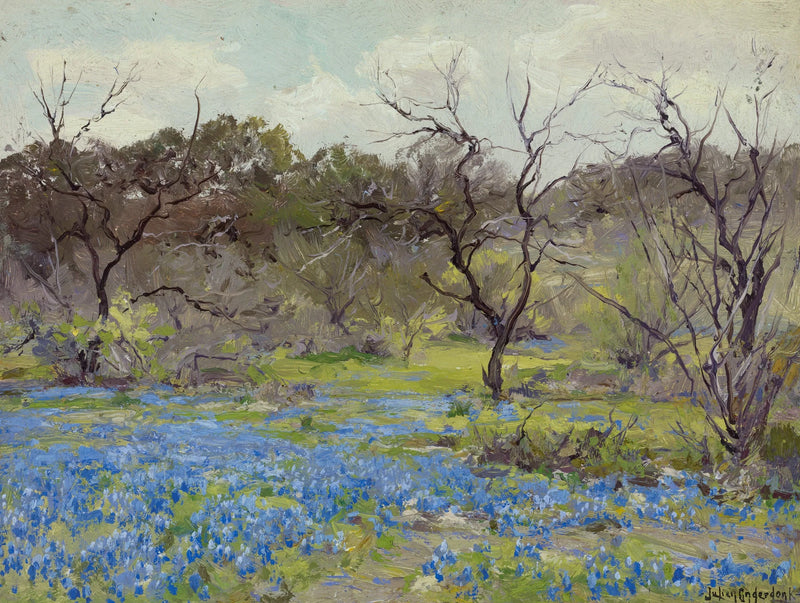 Principios de primavera 😉 Lupinos azules y mezquite - Julian Onderdonk