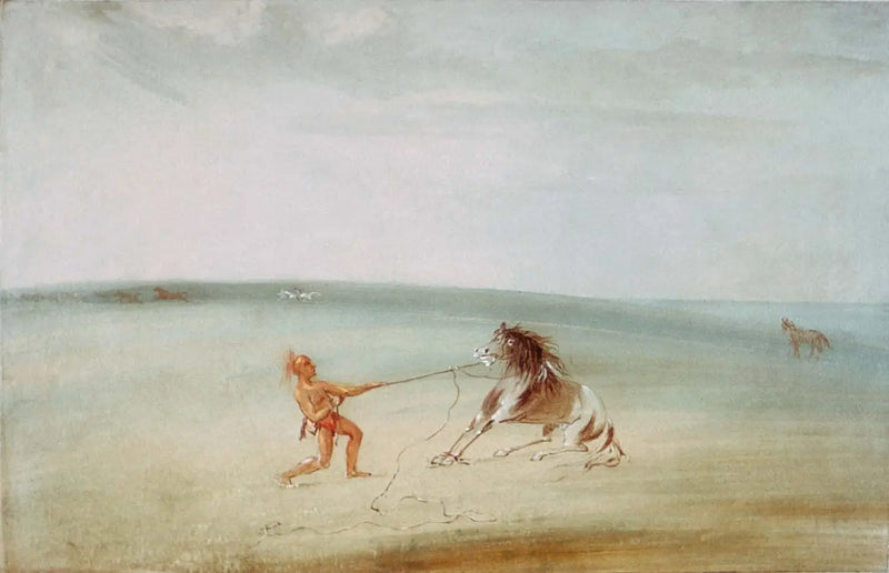 Descomponer el caballo salvaje - George Catlin