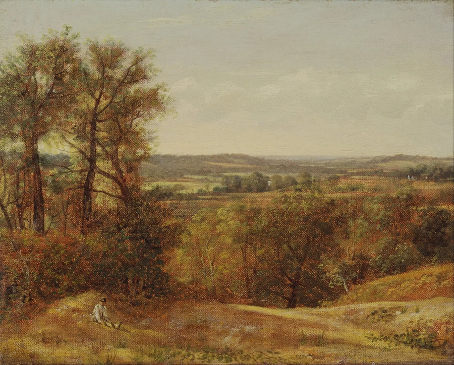 Vale de Dedham - John Constable
