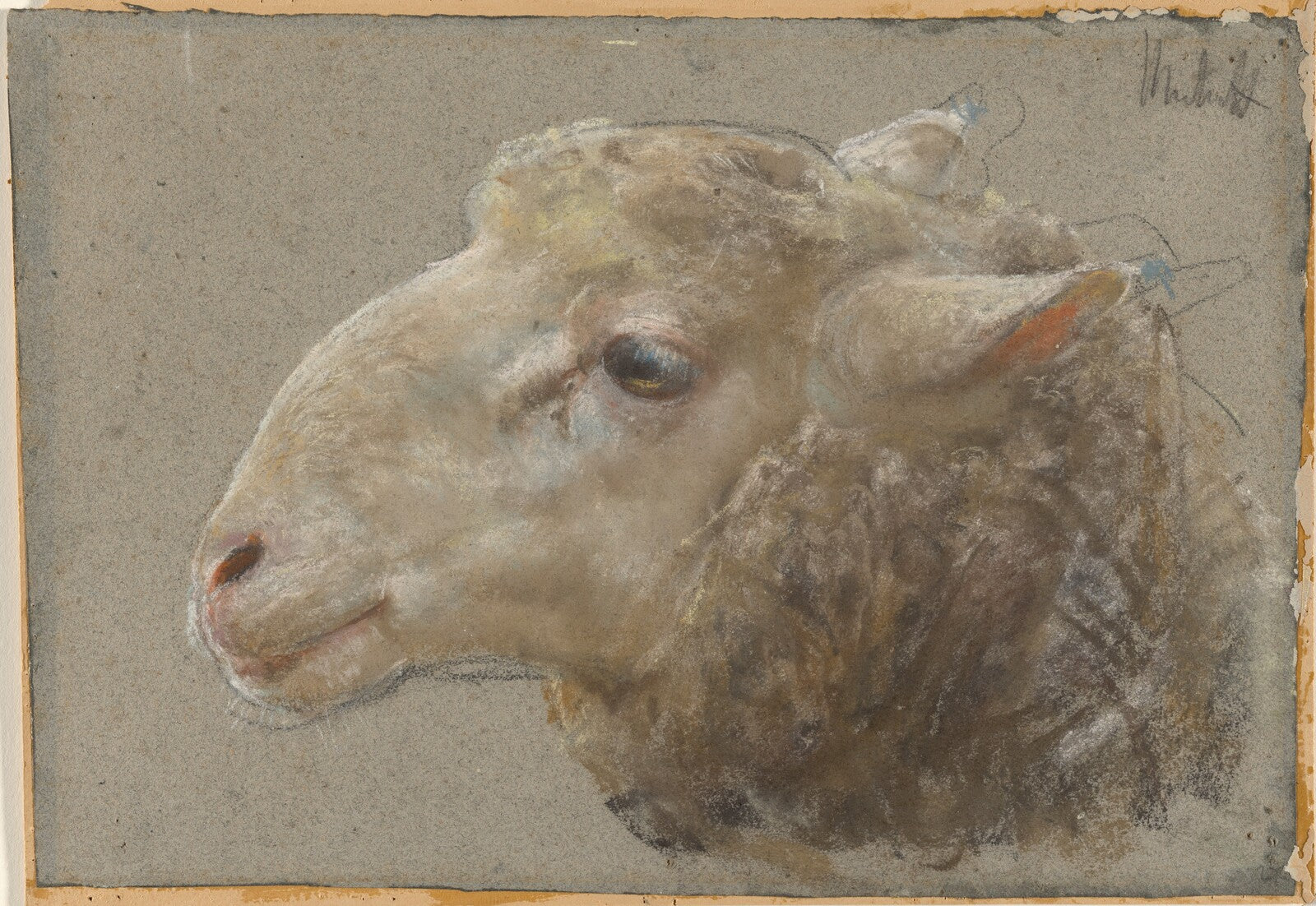 Head of a Sheep, Francesco Paolo Michetti, c. 1881 — pastel, National Gallery of Art