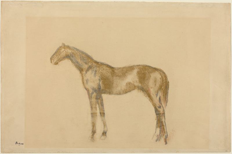 Horse - Edgar Degas