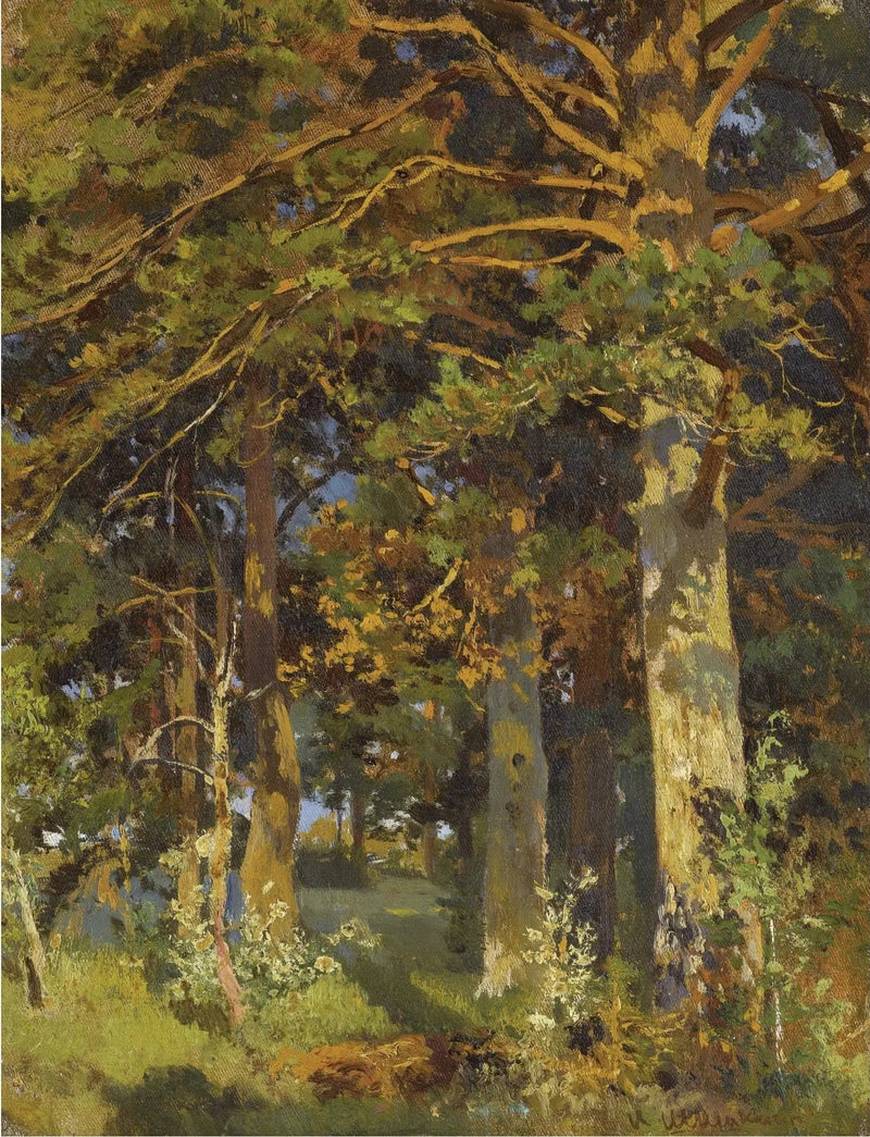 Desbroce forestal - Ivan Chichkine