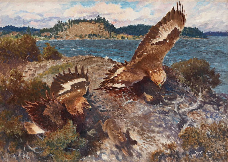 Águilas cazando una liebre - Bruno Liljefors