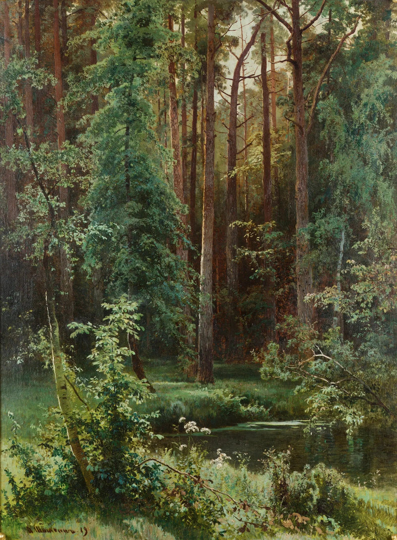 Madera - Ivan Chichkine