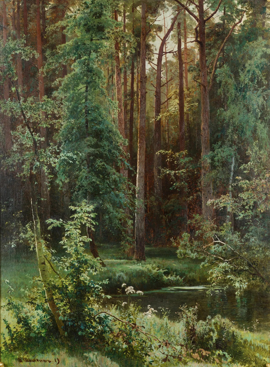 Madera - Ivan Chichkine
