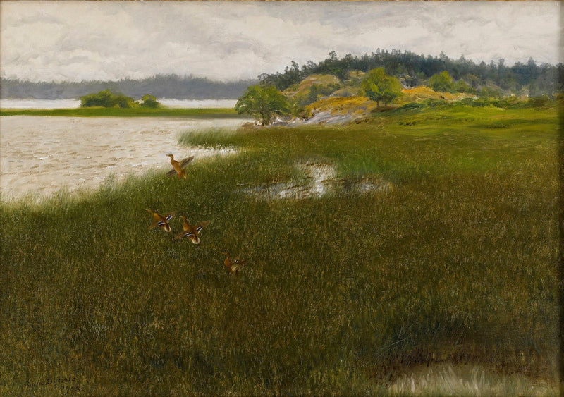 Los patos despegan - Bruno Liljefors