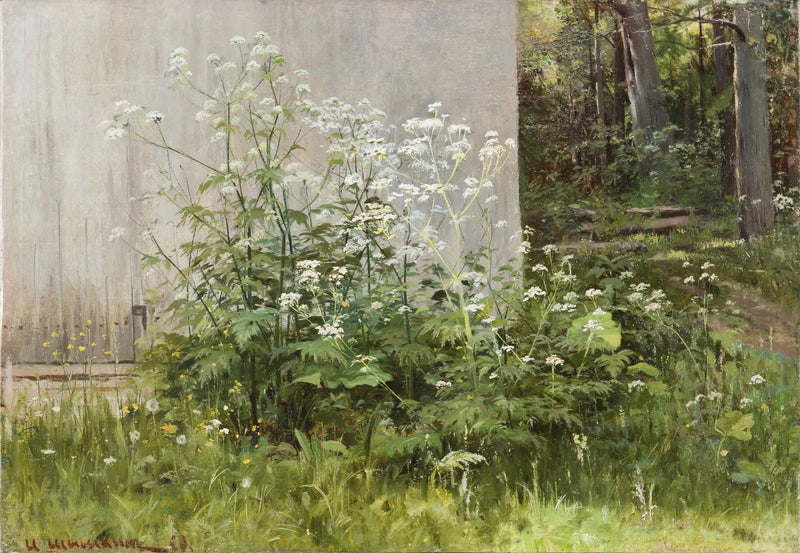 Flores en la cerca - Ivan Chichkine