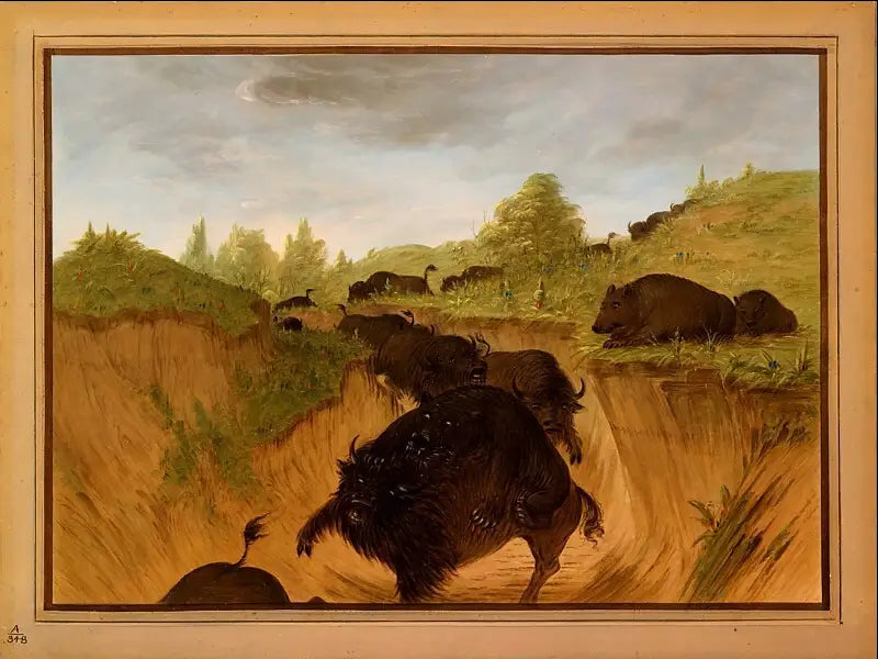 Grizzlis atacan bisontes - George Catlin