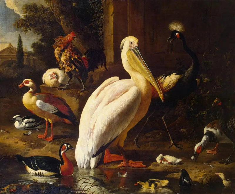 Aves en un parque - Melchior de Hondecoeter