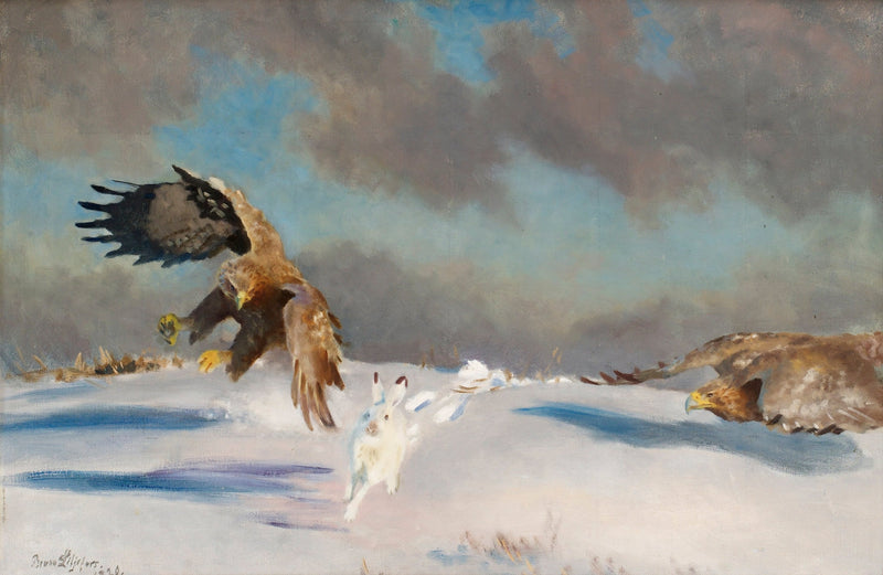 Águilas de cola blanca atacan liebres invernales - Bruno Liljefors
