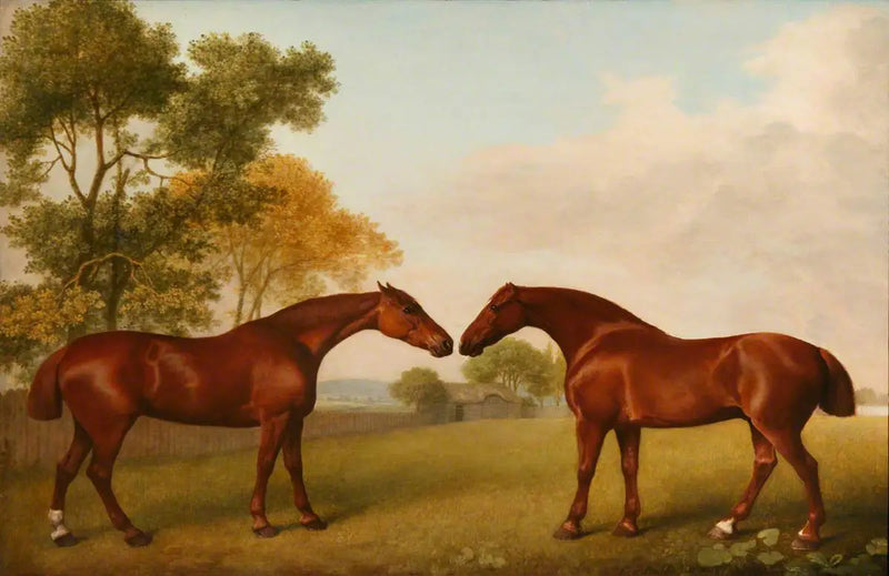 Dos caballos en un corral - George Stubbs
