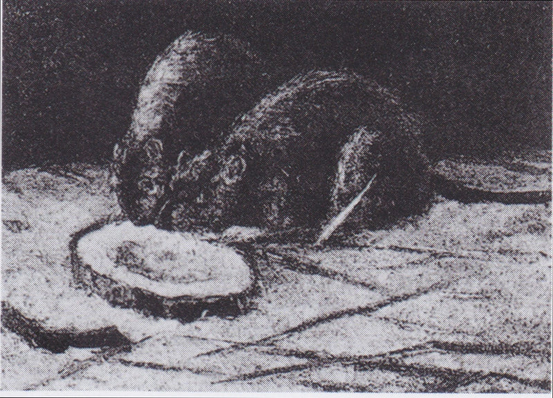 Dos ratas - Vincent van Gogh