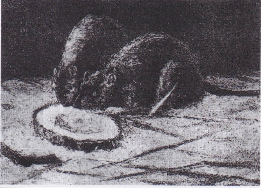 Dos ratas - Vincent van Gogh