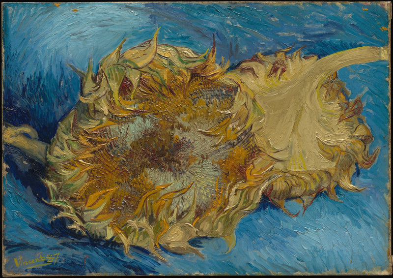 Dos Girasoles - Vincent van Gogh