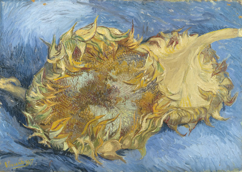 Dos Girasoles - Vincent van Gogh