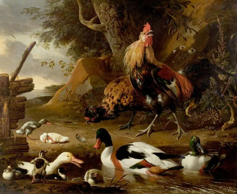 Dos aves de corral y patos en un estanque - Melchior de Hondecoeter