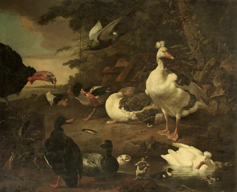 Pato, gansos, tadorne de Belon y otras aves de corral, en un paisaje con un arroyo - Melchior de Hondecoeter