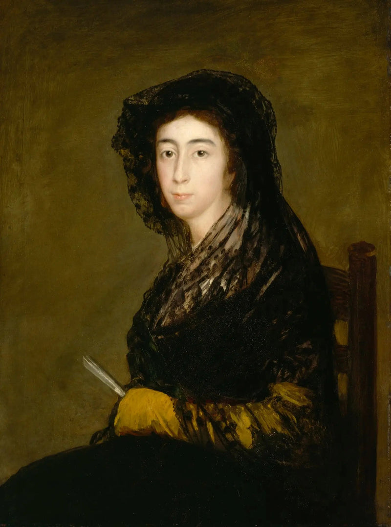 Doña Amalia Bonells de Costa - Francisco de Goya