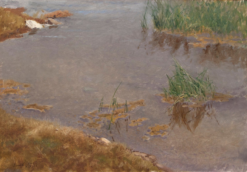 Aguas poco profundas - Bruno Liljefors
