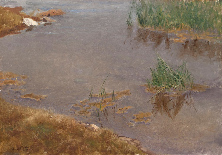Aguas poco profundas - Bruno Liljefors