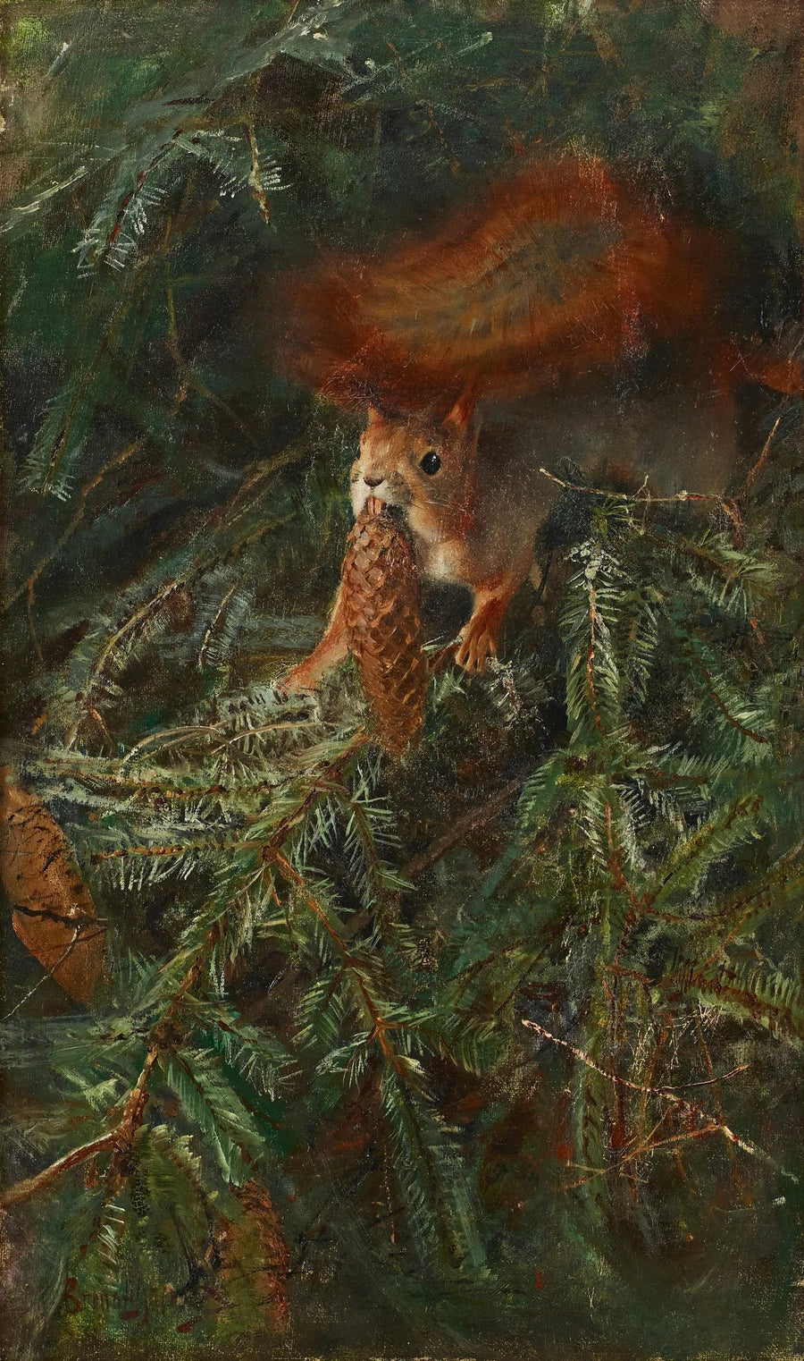 Ardilla - Bruno Liljefors