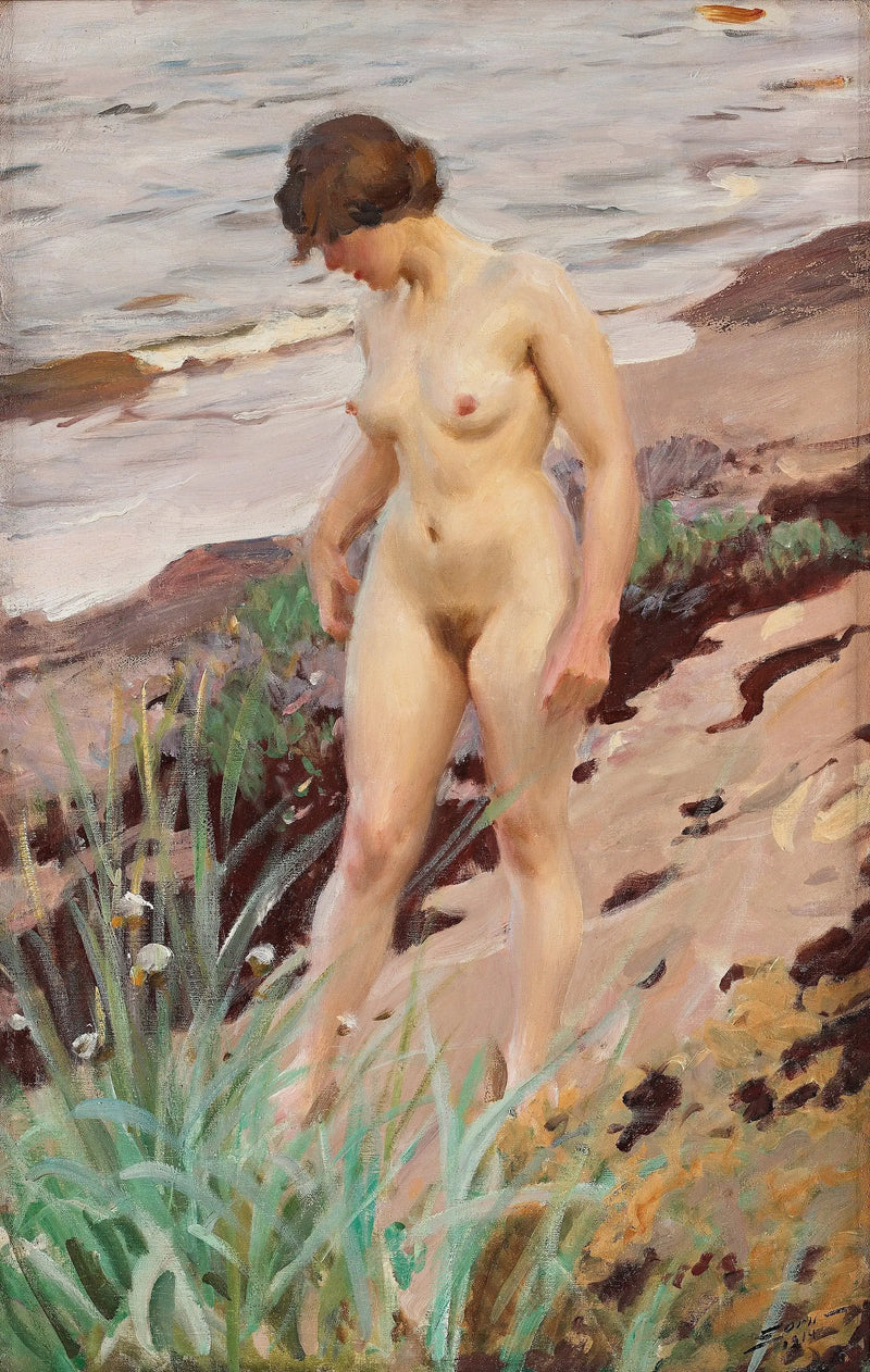 Efecto Sandhamn - Anders Zorn