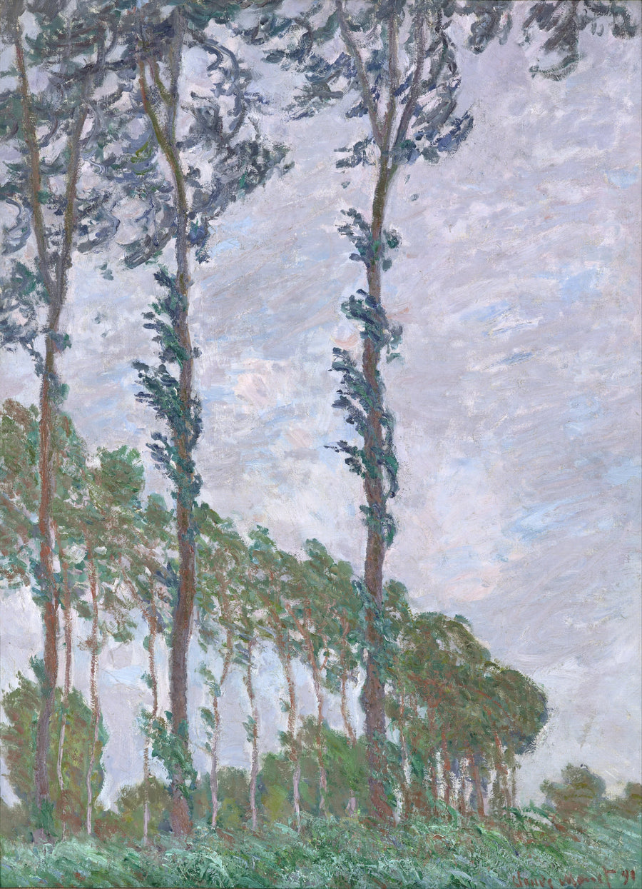 Efecto viento, Poplars serie W1302 - Claude Monet
