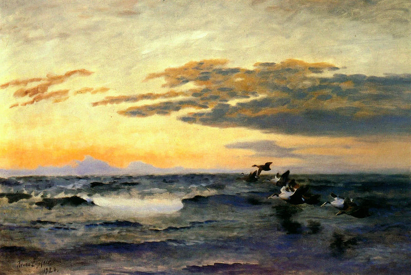 Eiders al amanecer - Bruno Liljefors