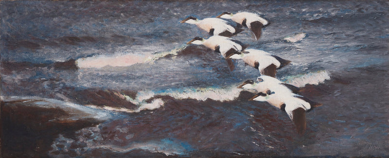 Eiders en las olas - Bruno Liljefors