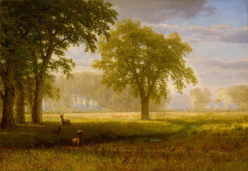 Élan en Oak Grove (Meadows de Tuolumne) - Albert Bierstadt