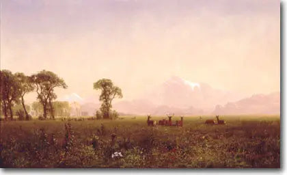 Elans pastando en la región de Wind River - Albert Bierstadt