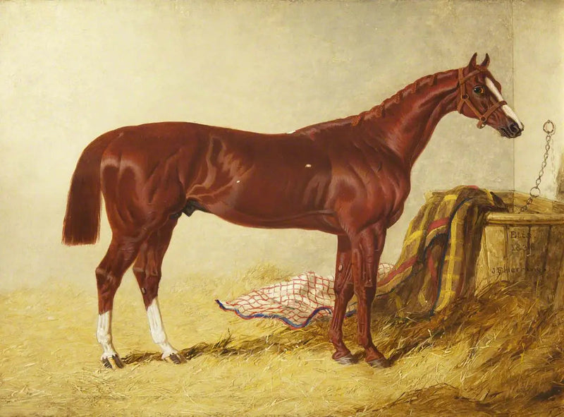 Elis, ganador del St Leger Stakes, 1836, en un box separado - John Frederick Herring, Sr.