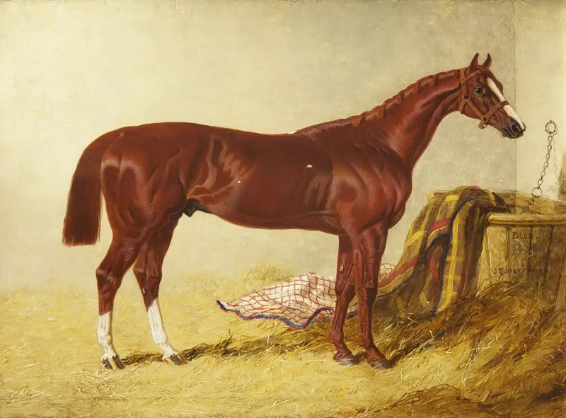 Elis, ganador del St Leger Stakes, 1836, en un box separado - John Frederick Herring, Sr.