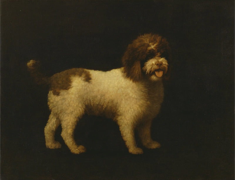 Perro de agua - George Stubbs