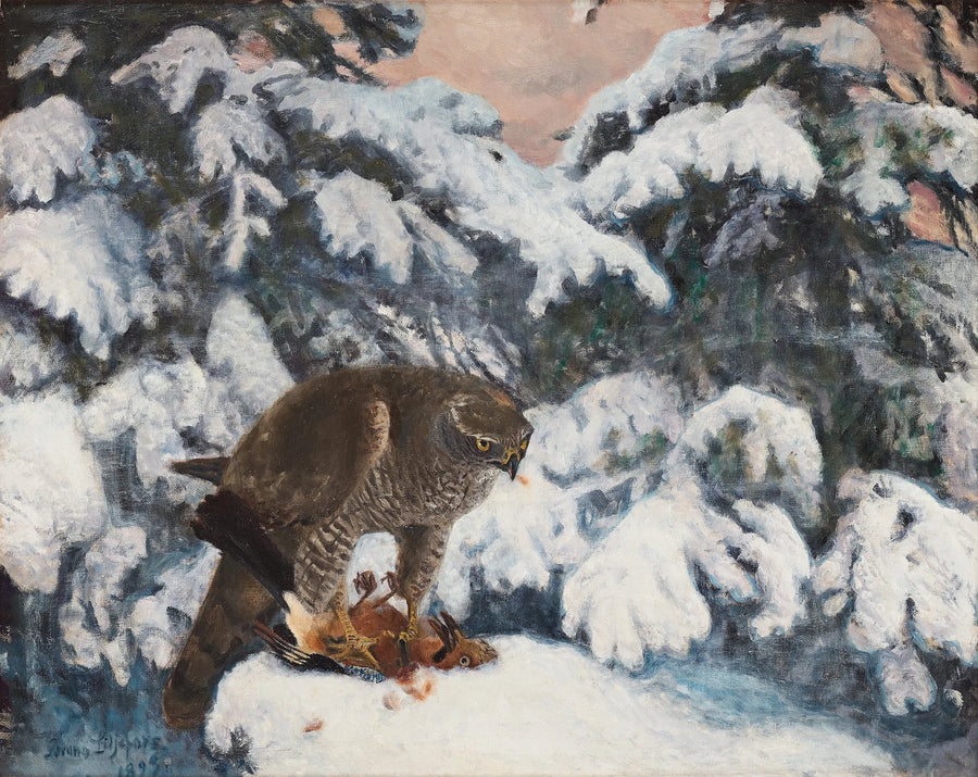 Halcón con su presa - Bruno Liljefors